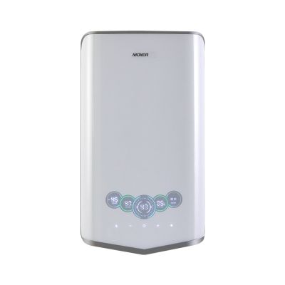 Instant Storage Water Heater With Voice-controlled Touch Screen For Kitchen