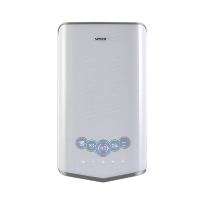 Instant Storage Water Heater With Voice-controlled Touch Screen For Kitchen